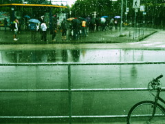 雨の中