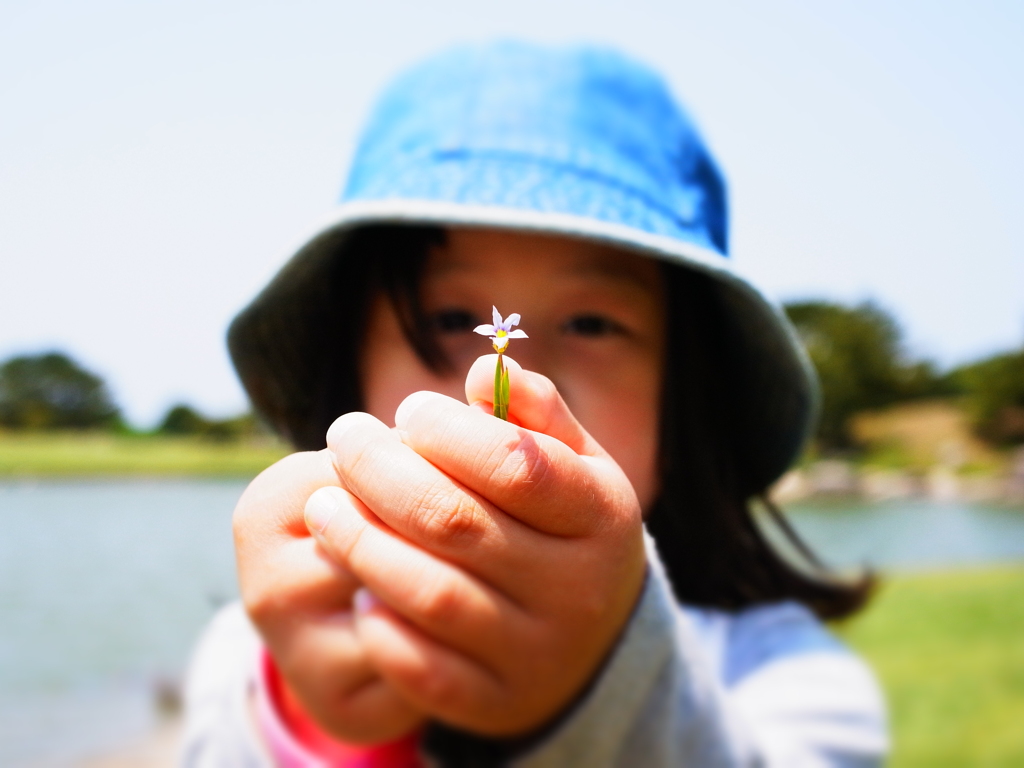 私の花