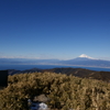 達磨山頂より