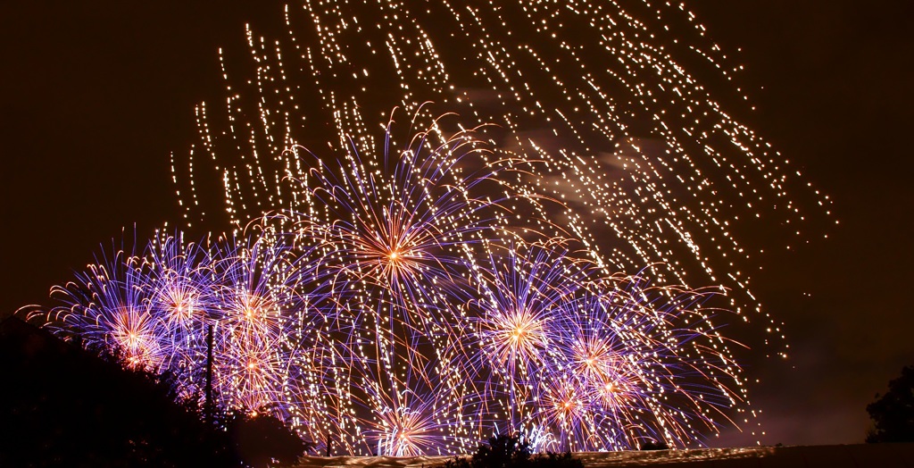 空に咲く花