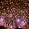 空に咲く花