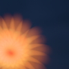 ぼかした花火