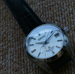 SBGA011