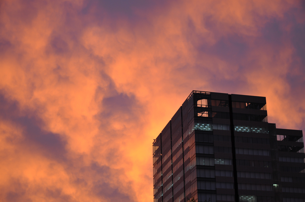 DSC_0028