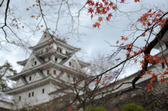 郡上