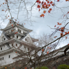 郡上
