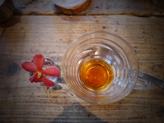 P1000055