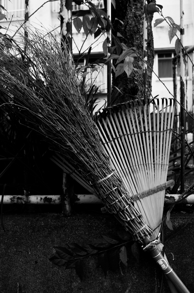 掃除の名コンビ