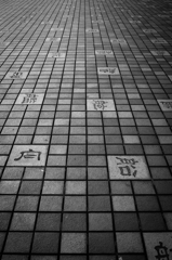 舟色々