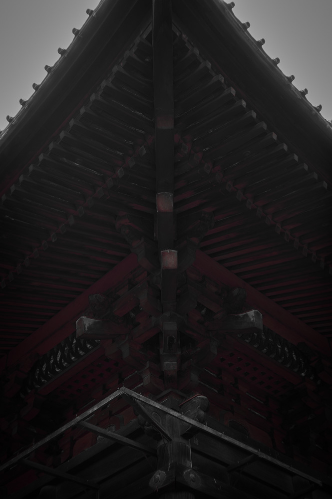 骨格