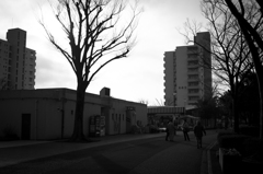 夕方のおしゃべり