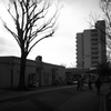 夕方のおしゃべり