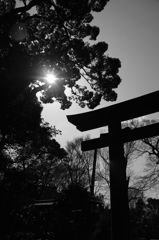 神意
