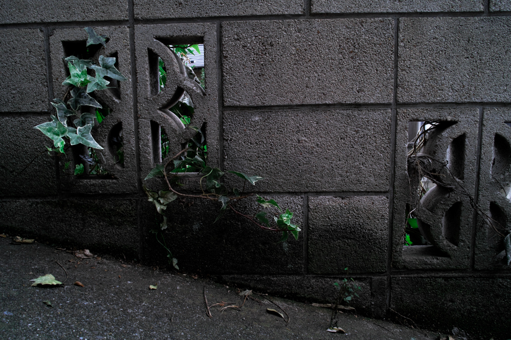 滲み出る生命力