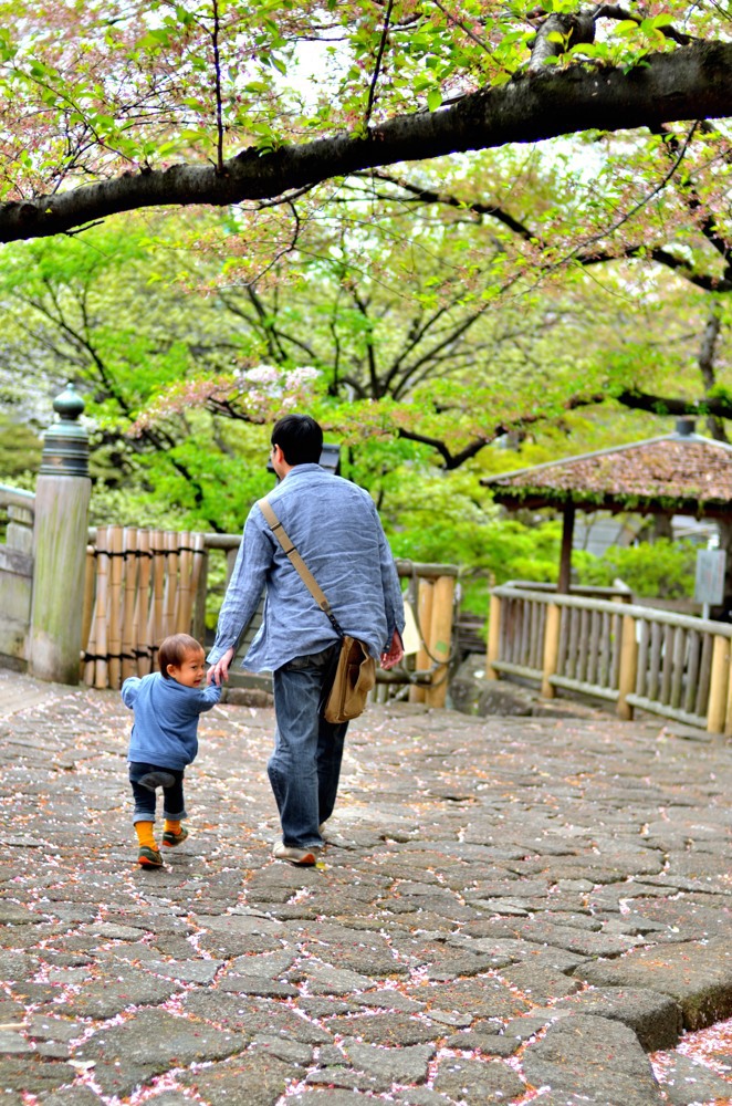 葉桜の季節