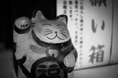 福、招き中