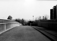 陸橋