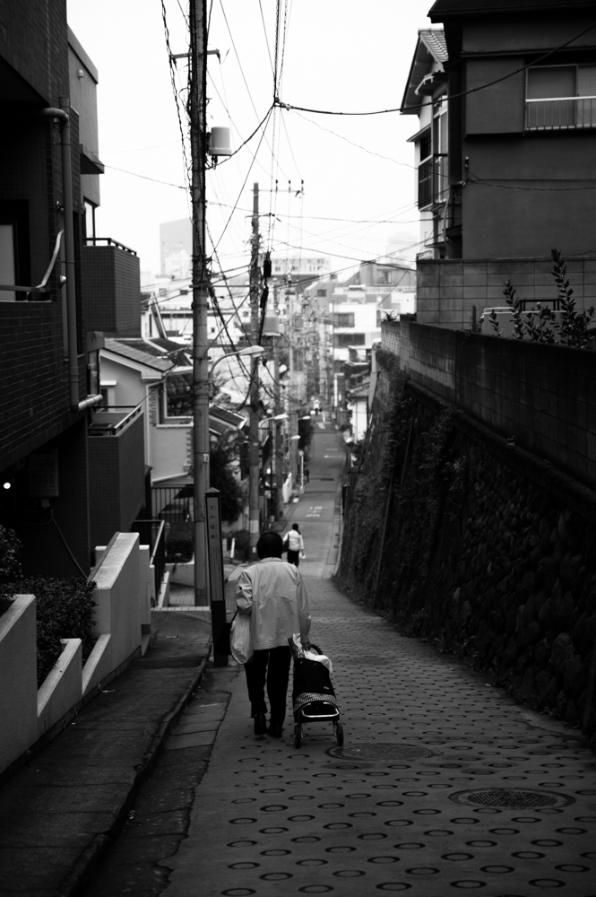 帰途を行く
