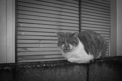 ・・・ん？