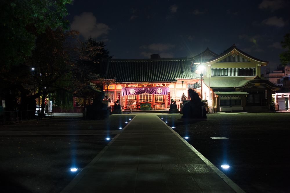夜～浅草神社～
