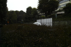 マダ見ヌ人 マダ見ヌ人