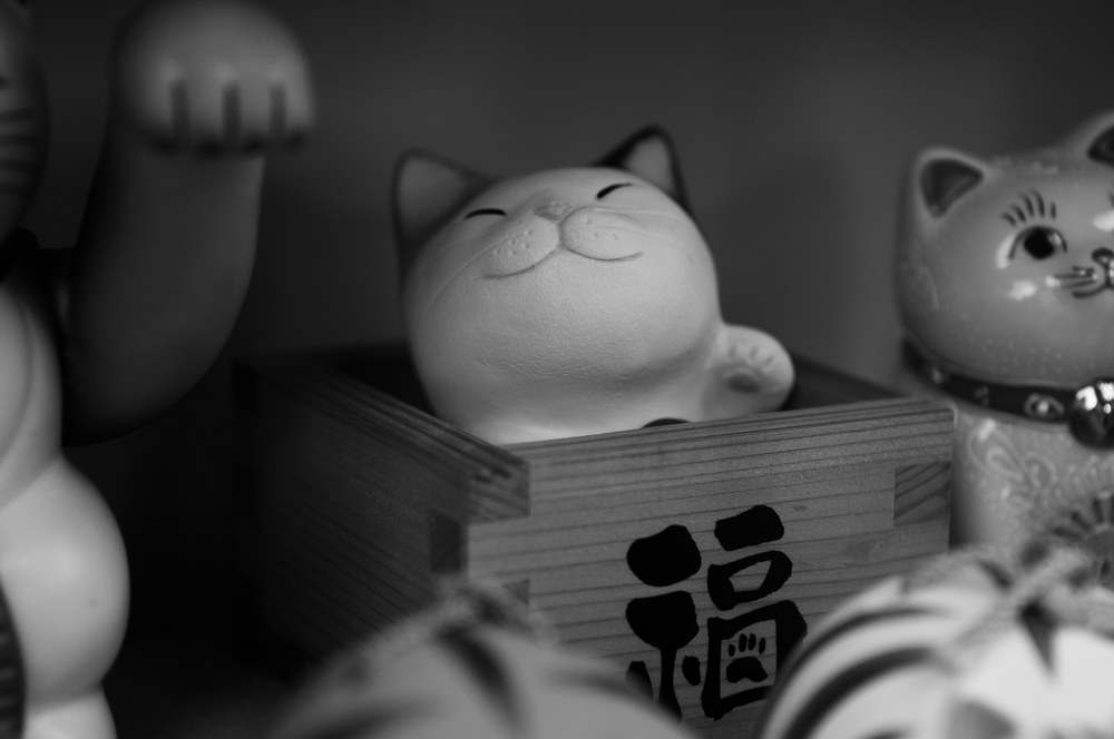 枡と猫