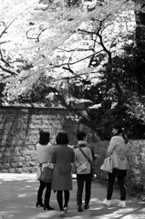 女子会
