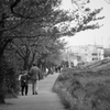 葉桜の季節に君を想うということ