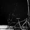 荒木町の自転車