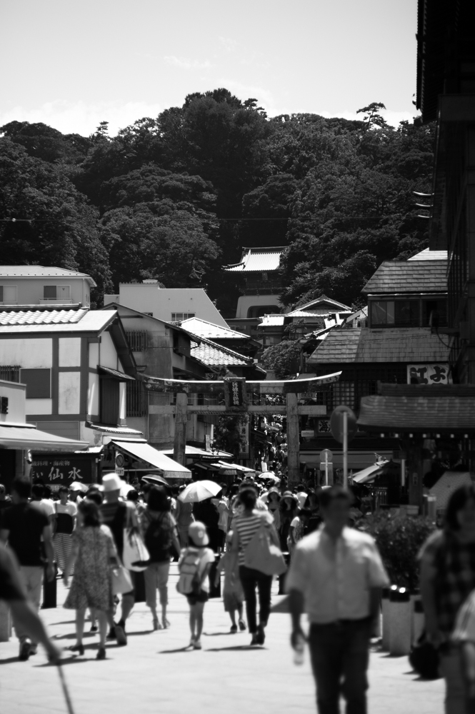 島を目指して