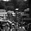 島を目指して