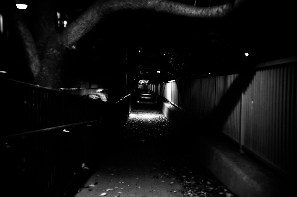 闇道
