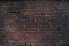 向コウノ世界 向コウノ世界