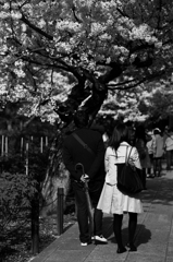 御花見