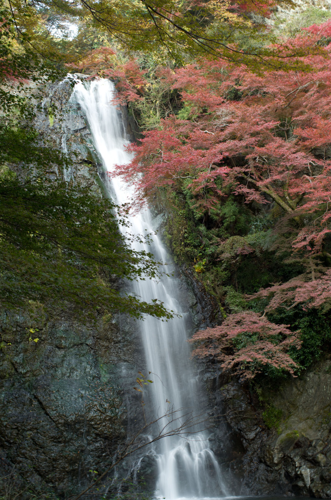 箕面の滝