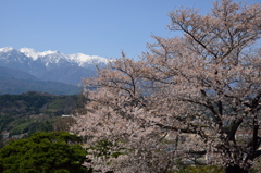 ふわやかに