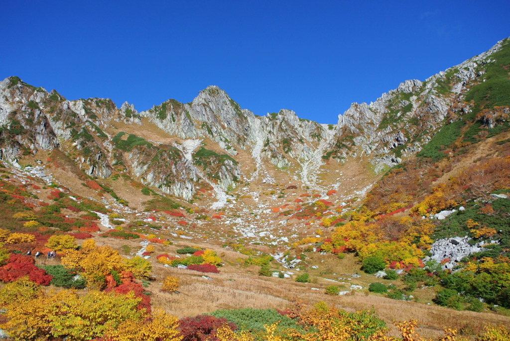 駒ケ岳