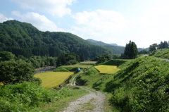 田舎の風景