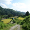 田舎の風景