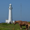 寒立馬5
