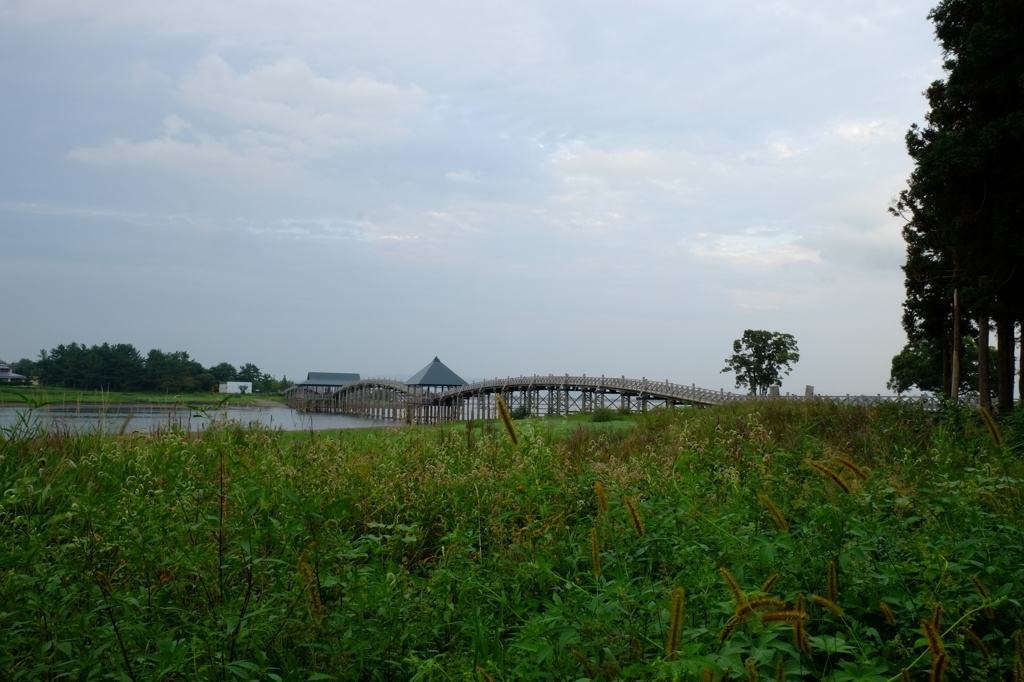DSCF0613
