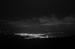 真夜中のアゲハ蝶