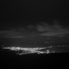 真夜中のアゲハ蝶