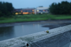 DSCF0674