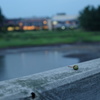 DSCF0674