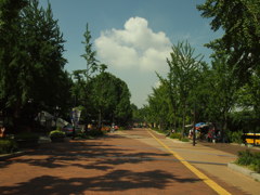 公園