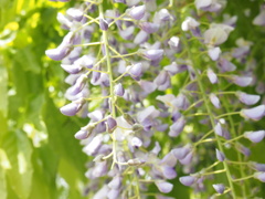 P6270037