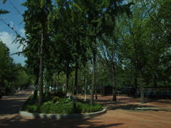 公園