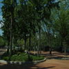 公園