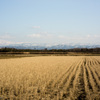 DSC03625-1